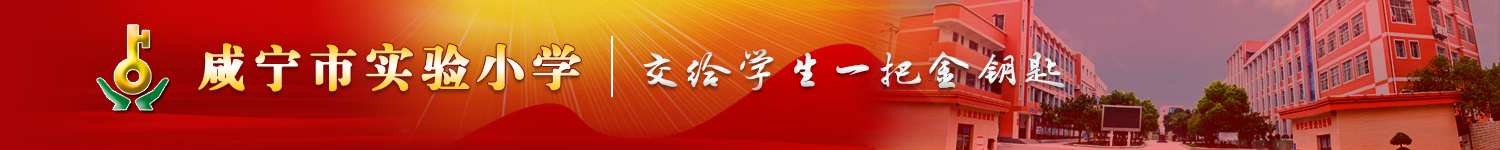 开云足球